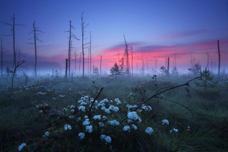 Zamość: Dziś dwie fotograficzne imprezy