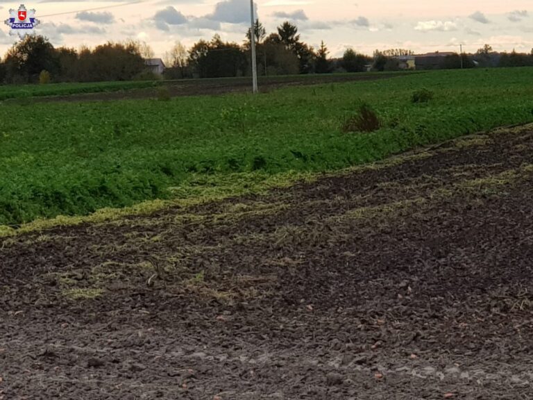 Zięć stał na czatach, żona schowała się za słupem, a teściowa w budzie dla psa!