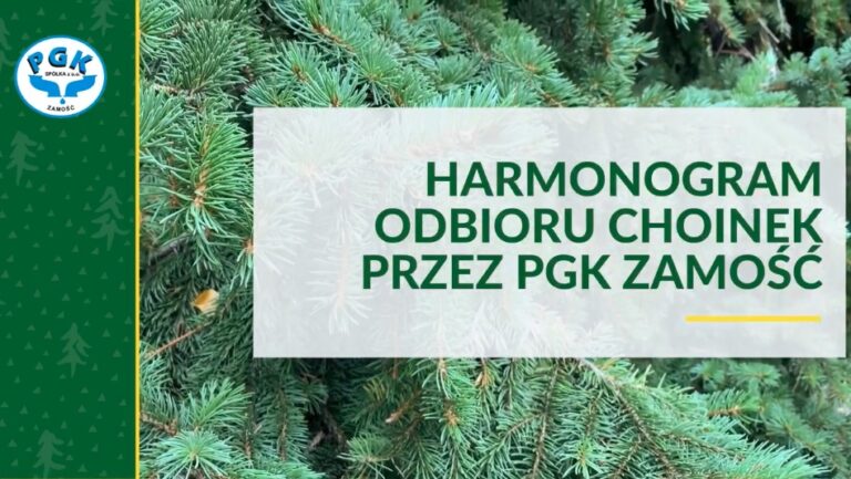 ZAMOŚĆ: Co z żywą choinką po świętach? Odbiorą ją pracownicy PGK. Sprawdź kiedy.